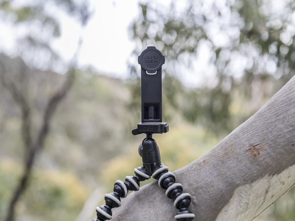 quad lock tripod adaptor
