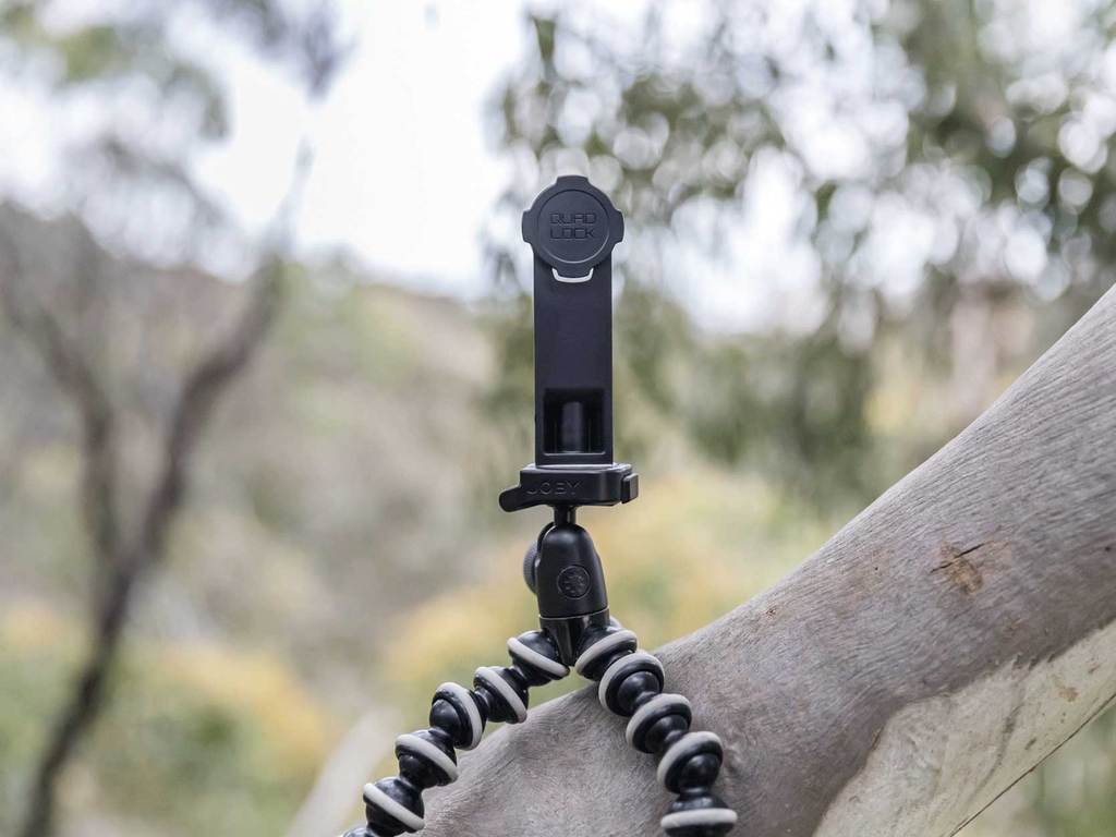 quad lock tripod adaptor with gorilla tripod